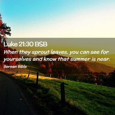 Picture 02 - Luke 21:30 BSB - When they sprout leaves, you can see for - Bible Verse Picture