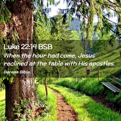 Picture 02 - Luke 22:14 BSB - When the hour had come, Jesus reclined at the - Bible Verse Picture