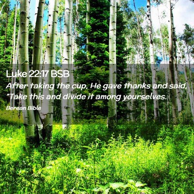 Picture 02 - Luke 22:17 BSB - After taking the cup, He gave thanks and said, - Bible Verse Picture
