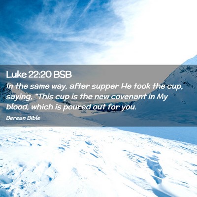 Picture 02 - Luke 22:20 BSB - In the same way, after supper He took the cup, - Bible Verse Picture