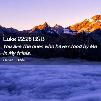 Picture 02 - Luke 22:28 BSB - You are the ones who have stood by Me in My - Bible Verse Picture