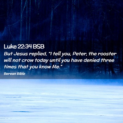 Picture 02 - Luke 22:34 BSB - But Jesus replied, “I tell you, Peter, the - Bible Verse Picture