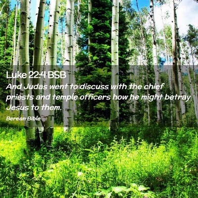Picture 02 - Luke 22:4 BSB - And Judas went to discuss with the chief priests - Bible Verse Picture