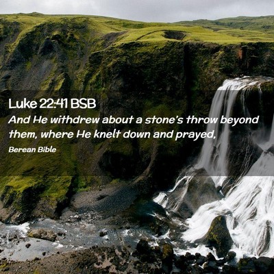 Picture 02 - Luke 22:41 BSB - And He withdrew about a stone’s throw beyond - Bible Verse Picture