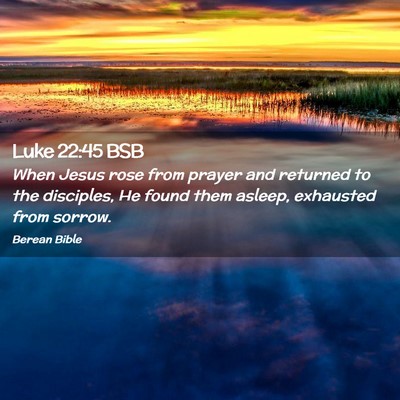 Picture 02 - Luke 22:45 BSB - When Jesus rose from prayer and returned to the - Bible Verse Picture