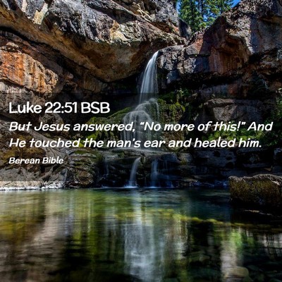 Picture 02 - Luke 22:51 BSB - But Jesus answered, “No more of this!” And He - Bible Verse Picture
