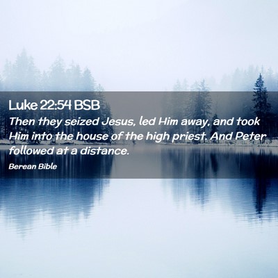 Picture 02 - Luke 22:54 BSB - Then they seized Jesus, led Him away, and took - Bible Verse Picture