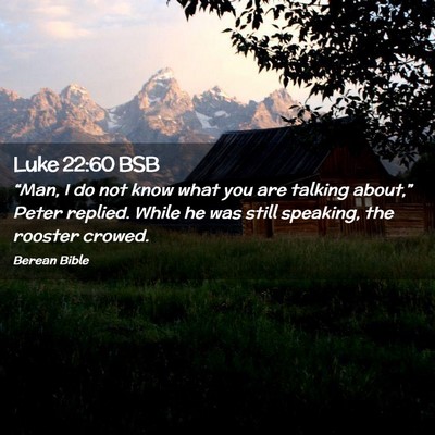 Picture 02 - Luke 22:60 BSB - “Man, I do not know what you are talking - Bible Verse Picture