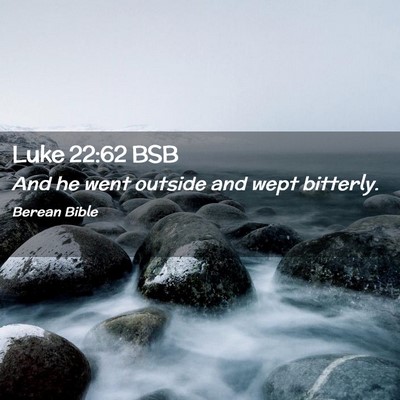 Picture 02 - Luke 22:62 BSB - And he went outside and wept - Bible Verse Picture
