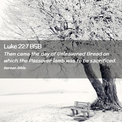 Picture 02 - Luke 22:7 BSB - Then came the day of Unleavened Bread on which - Bible Verse Picture