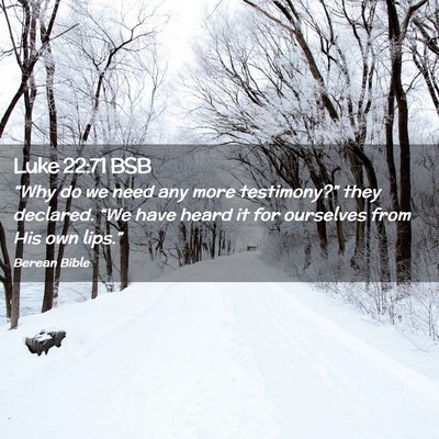 Picture 02 - Luke 22:71 BSB - “Why do we need any more testimony?” they - Bible Verse Picture