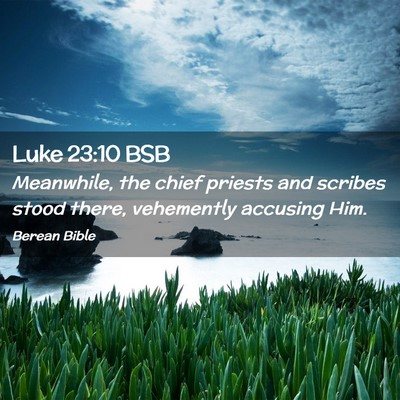 Picture 02 - Luke 23:10 BSB - Meanwhile, the chief priests and scribes stood - Bible Verse Picture
