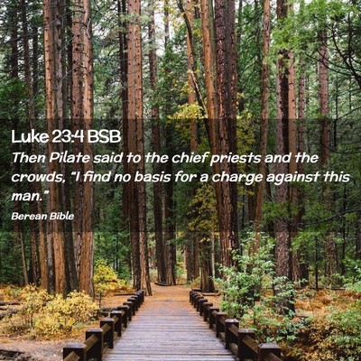 Picture 02 - Luke 23:4 BSB - Then Pilate said to the chief priests and the - Bible Verse Picture