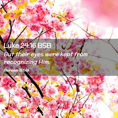 Picture 02 - Luke 24:16 BSB - But their eyes were kept from recognizing - Bible Verse Picture
