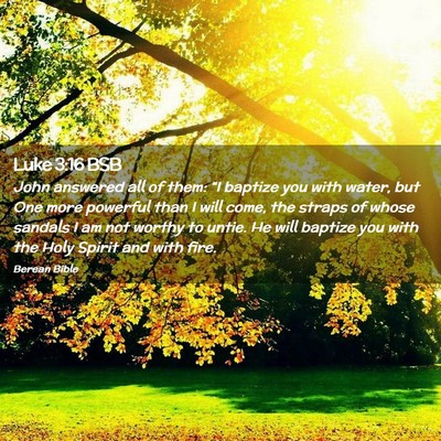 Picture 02 - Luke 3:16 BSB - John answered all of them: “I baptize you with - Bible Verse Picture