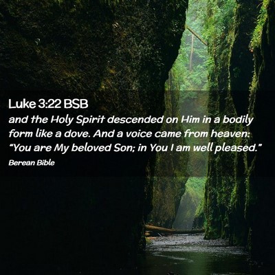 Picture 02 - Luke 3:22 BSB - and the Holy Spirit descended on Him in a bodily - Bible Verse Picture