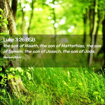 Picture 02 - Luke 3:26 BSB - the son of Maath, the son of Mattathias, the son - Bible Verse Picture