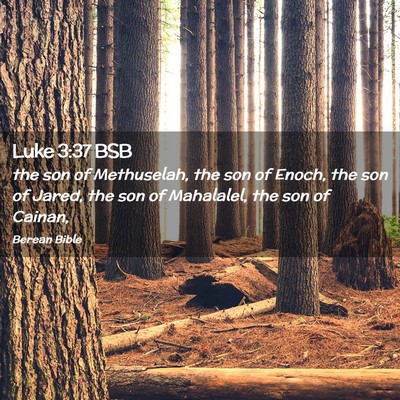 Picture 02 - Luke 3:37 BSB - the son of Methuselah, the son of Enoch, the son - Bible Verse Picture