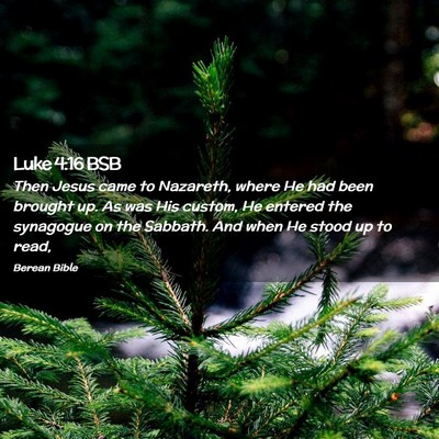 Picture 02 - Luke 4:16 BSB - Then Jesus came to Nazareth, where He had been - Bible Verse Picture