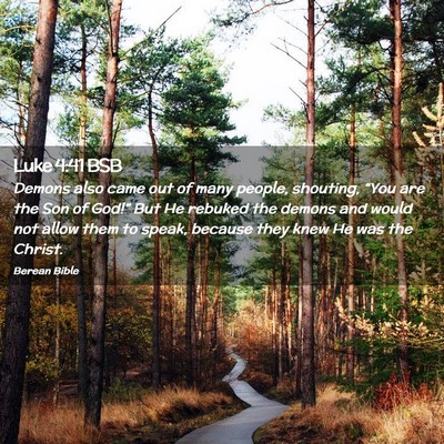 Picture 02 - Luke 4:41 BSB - Demons also came out of many people, shouting, - Bible Verse Picture