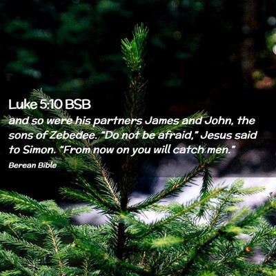 Picture 02 - Luke 5:10 BSB - and so were his partners James and John, the sons - Bible Verse Picture