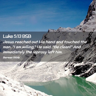 Picture 02 - Luke 5:13 BSB - Jesus reached out His hand and touched the man. - Bible Verse Picture