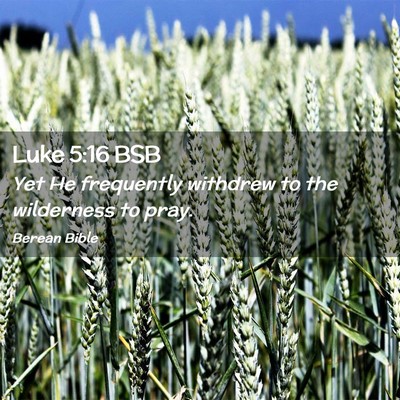 Picture 02 - Luke 5:16 BSB - Yet He frequently withdrew to the wilderness to - Bible Verse Picture