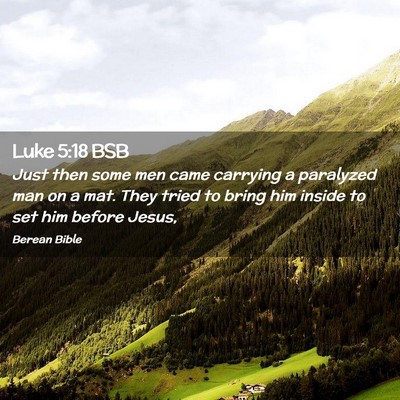 Picture 02 - Luke 5:18 BSB - Just then some men came carrying a paralyzed man - Bible Verse Picture