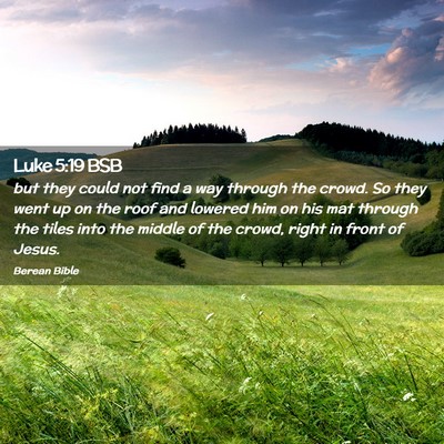 Picture 02 - Luke 5:19 BSB - but they could not find a way through the crowd. - Bible Verse Picture