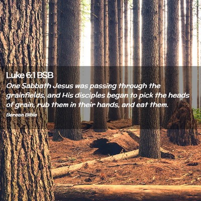 Picture 02 - Luke 6:1 BSB - One Sabbath Jesus was passing through the - Bible Verse Picture