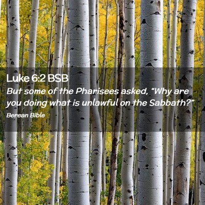 Picture 02 - Luke 6:2 BSB - But some of the Pharisees asked, “Why are you - Bible Verse Picture