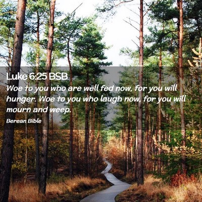 Picture 02 - Luke 6:25 BSB - Woe to you who are well fed now, for you will - Bible Verse Picture