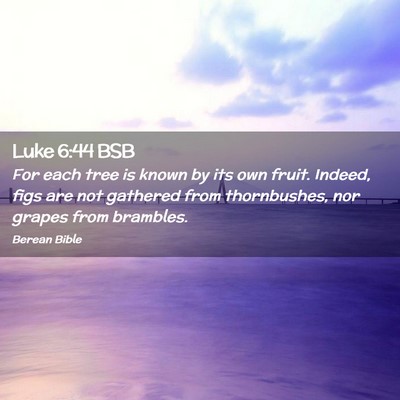 Picture 02 - Luke 6:44 BSB - For each tree is known by its own fruit. Indeed, - Bible Verse Picture