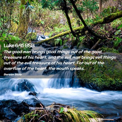 Picture 02 - Luke 6:45 BSB - The good man brings good things out of the good - Bible Verse Picture