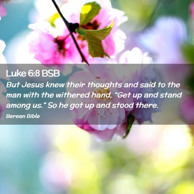 Picture 02 - Luke 6:8 BSB - But Jesus knew their thoughts and said to the man - Bible Verse Picture