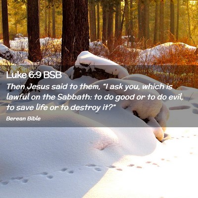 Picture 02 - Luke 6:9 BSB - Then Jesus said to them, “I ask you, which is - Bible Verse Picture