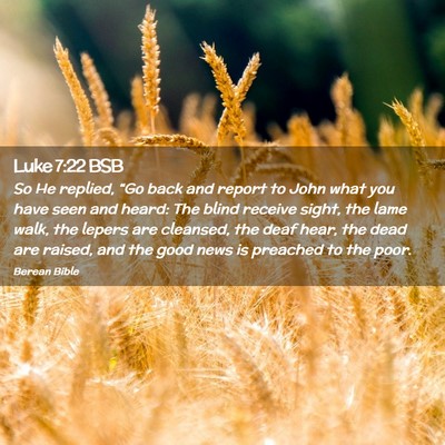 Picture 02 - Luke 7:22 BSB - So He replied, “Go back and report to John what - Bible Verse Picture