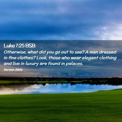 Picture 02 - Luke 7:25 BSB - Otherwise, what did you go out to see? A man - Bible Verse Picture