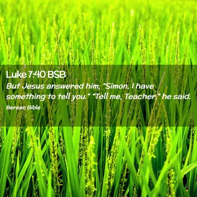 Picture 02 - Luke 7:40 BSB - But Jesus answered him, “Simon, I have - Bible Verse Picture