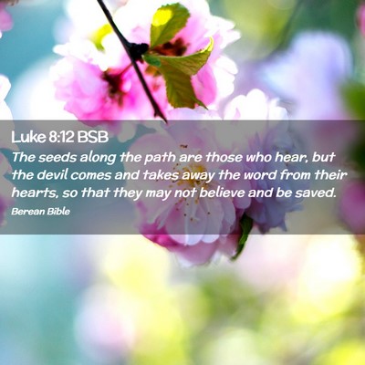 Picture 02 - Luke 8:12 BSB - The seeds along the path are those who hear, but - Bible Verse Picture