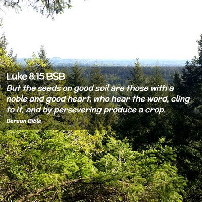 Picture 02 - Luke 8:15 BSB - But the seeds on good soil are those with a noble - Bible Verse Picture