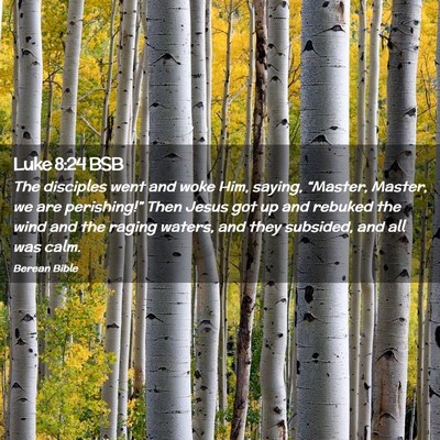 Picture 02 - Luke 8:24 BSB - The disciples went and woke Him, saying, - Bible Verse Picture