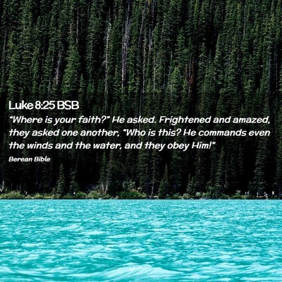 Picture 02 - Luke 8:25 BSB - “Where is your faith?” He asked. Frightened - Bible Verse Picture