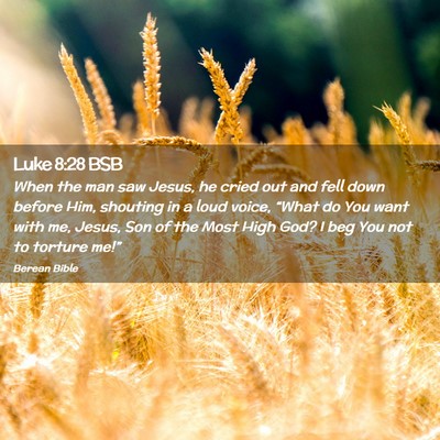 Picture 02 - Luke 8:28 BSB - When the man saw Jesus, he cried out and fell - Bible Verse Picture