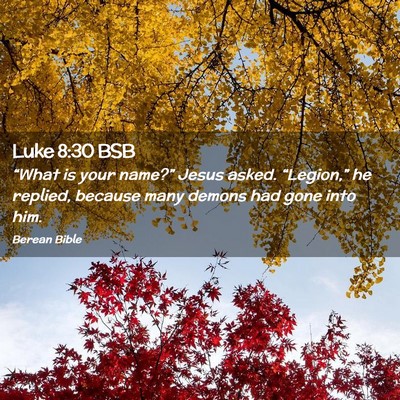 Picture 02 - Luke 8:30 BSB - “What is your name?” Jesus asked. - Bible Verse Picture