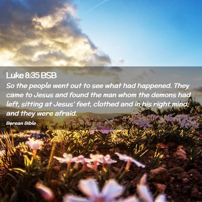 Picture 02 - Luke 8:35 BSB - So the people went out to see what had happened. - Bible Verse Picture
