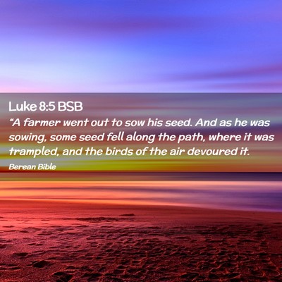 Picture 02 - Luke 8:5 BSB - “A farmer went out to sow his seed. And as he - Bible Verse Picture