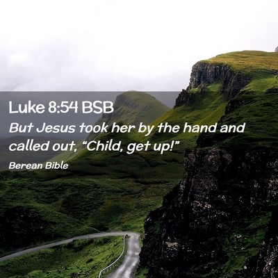 Picture 02 - Luke 8:54 BSB - But Jesus took her by the hand and called out, - Bible Verse Picture