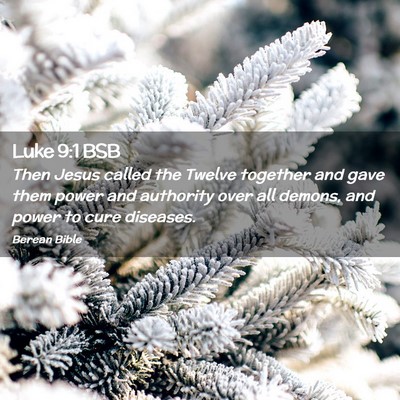 Picture 02 - Luke 9:1 BSB - Then Jesus called the Twelve together and gave - Bible Verse Picture