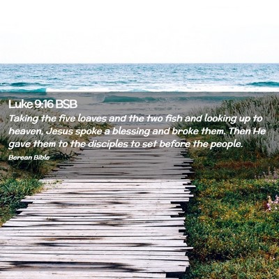 Picture 02 - Luke 9:16 BSB - Taking the five loaves and the two fish and - Bible Verse Picture